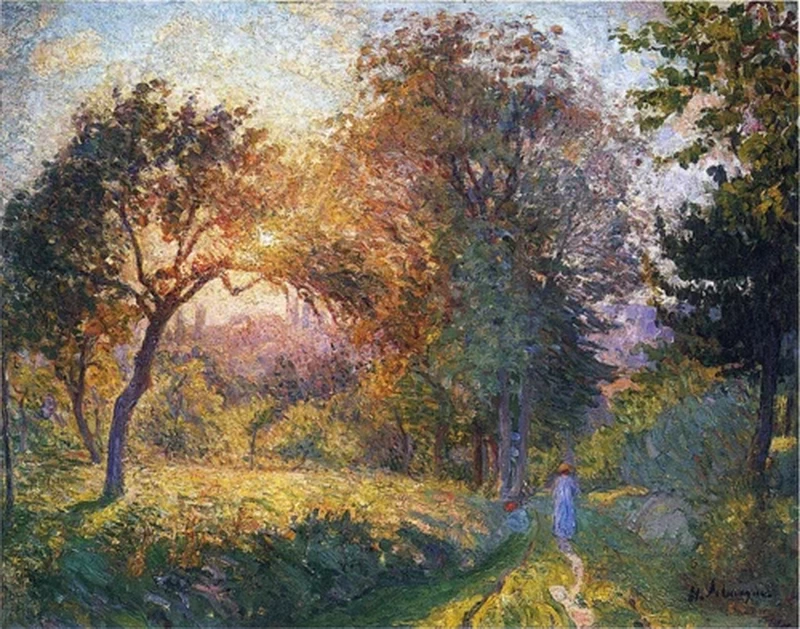 Ragazza nella foresta al tramonto